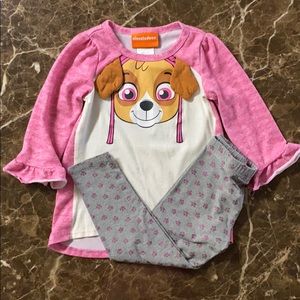 Paw Patrol Skye two piece outfit. 5T